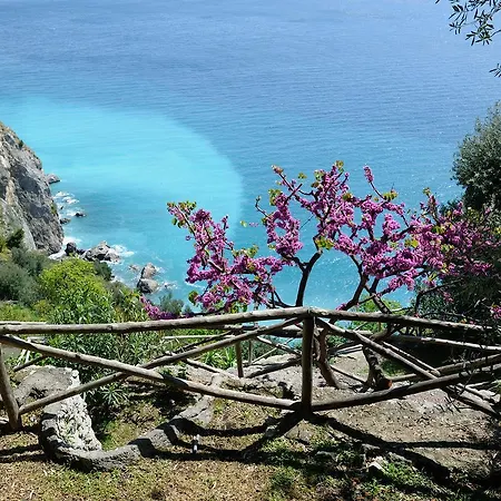 Sirenetta Apartment Amalfi